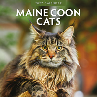 2027 16-Month Calendar Maine Coon Cats Square Wall, Red Robin RR271037