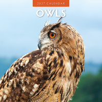 2027 16-Month Calendar Owls Square Wall, Red Robin RR271041