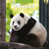 2027 16-Month Calendar Pandas Square Wall, Red Robin RR271042