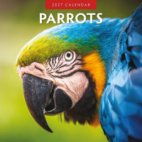 2027 16-Month Calendar Parrots Square Wall, Red Robin RR271043
