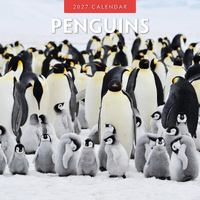 2027 16-Month Calendar Penguins Square Wall, Red Robin RR271044