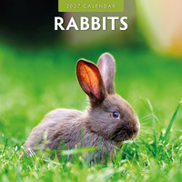 2027 16-Month Calendar Rabbits Square Wall, Red Robin RR271047