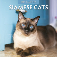 2027 16-Month Calendar Siamese Cats Square Wall, Red Robin RR271051