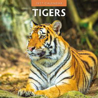 2027 16-Month Calendar Tigers Square Wall, Red Robin RR271053