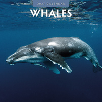 2027 16-Month Calendar Whales Square Wall, Red Robin RR271054