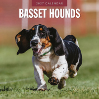 2027 16-Month Calendar Basset Hounds Square Wall, Red Robin RR271180