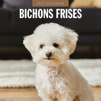 2027 16-Month Calendar Bichons Frises Square Wall, Red Robin RR271186