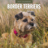 2027 16-Month Calendar Border Terriers Square Wall, Red Robin RR271191