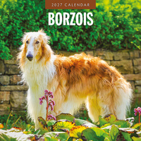 2027 16-Month Calendar Borzois Square Wall, Red Robin RR271192
