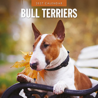 2027 16-Month Calendar Bull Terriers Square Wall, Red Robin RR271197