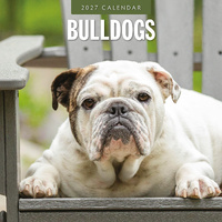 2027 16-Month Calendar Bulldogs Square Wall, Red Robin RR271198