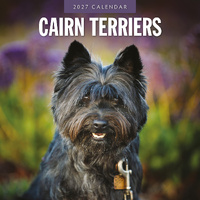 2027 16-Month Calendar Cairn Terriers Square Wall, Red Robin RR271200