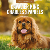 2027 16-Month Calendar Cavalier King Charles Spaniels Square Wall, Red Robin RR271201