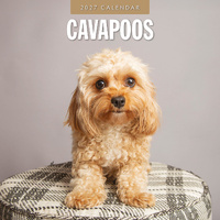 2027 16-Month Calendar Cavapoos Square Wall, Red Robin RR271202