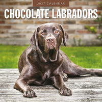 2027 16-Month Calendar Chocolate Labradors Square Wall, Red Robin RR271204