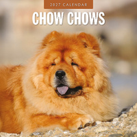 2027 16-Month Calendar Chow Chows Square Wall, Red Robin RR271205