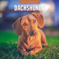 2027 16-Month Calendar Dachshunds Square Wall, Red Robin RR271210