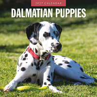 2027 16-Month Calendar Dalmatian Puppies Square Wall, Red Robin RR271211