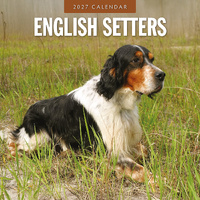 2027 16-Month Calendar English Setters Square Wall, Red Robin RR271216