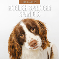 2027 16-Month Calendar English Springer Spaniels Square Wall, Red Robin RR271217