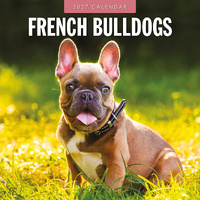 2027 16-Month Calendar French Bulldogs Square Wall, Red Robin RR271220