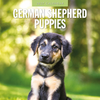 2027 16-Month Calendar German Shepherd Puppies Square Wall, Red Robin RR271221