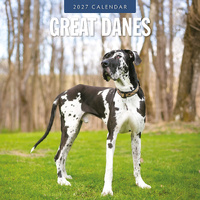 2027 16-Month Calendar Great Danes Square Wall, Red Robin RR271227