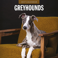 2027 16-Month Calendar Greyhounds Square Wall, Red Robin RR271229