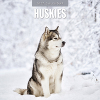 2027 16-Month Calendar Huskies Square Wall, Red Robin RR271230