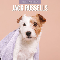 2027 16-Month Calendar Jack Russells Square Wall, Red Robin RR271233