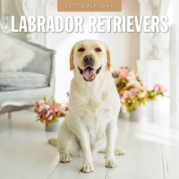 2027 16-Month Calendar Labrador Retrievers Square Wall, Red Robin RR271236