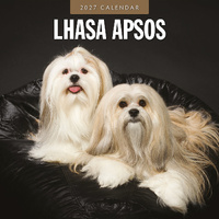 2027 16-Month Calendar Lhasa Apsos Square Wall, Red Robin RR271238