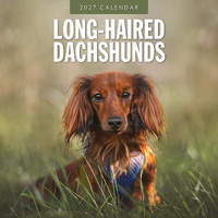2027 16-Month Calendar Long-haired Dachshunds Square Wall, Red Robin RR271239