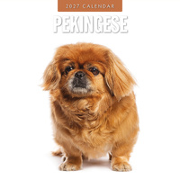 2027 16-Month Calendar Pekingese Square Wall, Red Robin RR271249