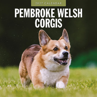 2027 16-Month Calendar Pembroke Welsh Corgis Square Wall, Red Robin RR271250