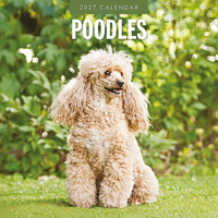 2027 16-Month Calendar Poodles Square Wall, Red Robin RR271253