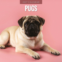 2027 16-Month Calendar Pugs Square Wall, Red Robin RR271254