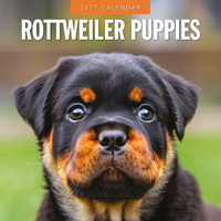 2027 16-Month Calendar Rottweiler Puppies Square Wall, Red Robin RR271256