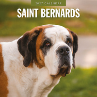2027 16-Month Calendar Saint Bernards Square Wall, Red Robin RR271258