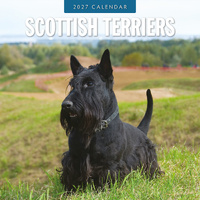 2027 16-Month Calendar Scottish Terriers Square Wall, Red Robin RR271262