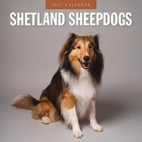 2027 16-Month Calendar Shetland Sheepdogs Square Wall, Red Robin RR271264