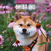 2027 16-Month Calendar Shiba Inu Square Wall, Red Robin RR271265