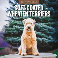 2027 16-Month Calendar Soft-coated Wheaten Terriers Square Wall, Red Robin RR271268