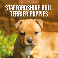 2027 16-Month Calendar Staffordshire Bull Terrier Puppies Square Wall, Red Robin RR271269