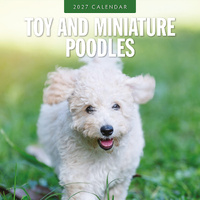 2027 16-Month Calendar Toy and Miniature Poodles Square Wall, Red Robin RR271272