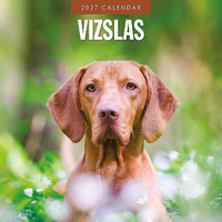 2027 16-Month Calendar Vizslas Square Wall, Red Robin RR271273