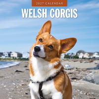 2027 16-Month Calendar Welsh Corgis Square Wall, Red Robin RR271275