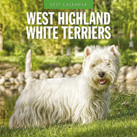 2027 16-Month Calendar West Highland White Terriers Square Wall, Red Robin RR271277