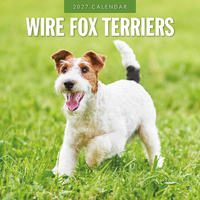 2027 16-Month Calendar Wire Fox Terriers Square Wall, Red Robin RR271280