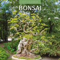 2027 16-Month Calendar Bonsai Square Wall, Red Robin RR271121